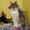 Отзыв от Зинаида Сальникова